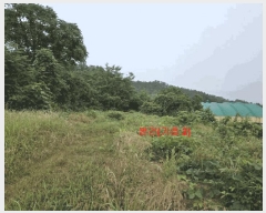  2025Ÿ��493 �泲 ��õ�� �ʰ�� �Ƹ��� 210      ����(��1)���