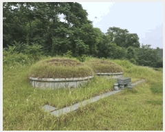  2025Ÿ��493 �泲 ��õ�� �ʰ�� �Ƹ��� 210      ����(��1)���