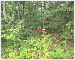  2025Ÿ��493 �泲 ��õ�� �ʰ�� �Ƹ��� 210      ����(��1)���