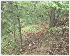  2025Ÿ��493 �泲 ��õ�� �ʰ�� �Ƹ��� 210      ����(��1)���