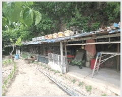  2025Ÿ516 泲 õ  긮 1755-2      ð