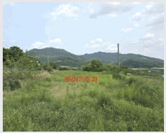  2025Ÿ530 泲 Ծ籺  鸮 816-1      ()