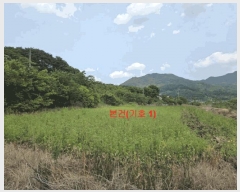  2025Ÿ530 泲 Ծ籺  鸮 816-1      ()