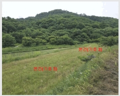  2025Ÿ530 泲 Ծ籺  鸮 816-1      ()