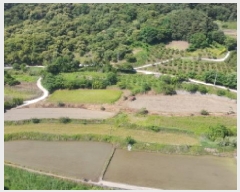  2025Ÿ530 泲 Ծ籺  鸮 816-1      ()