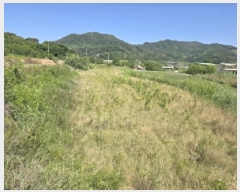  2025Ÿ530 泲 Ծ籺  鸮 816-1      ()