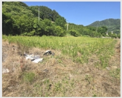  2025Ÿ530 泲 Ծ籺  鸮 816-1      ()