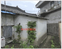  2025Ÿ��555 �泲 �Ծ籺 ���Ǹ� ������ 391-11      ����(����)���