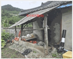  2025Ÿ��555 �泲 �Ծ籺 ���Ǹ� ������ 391-11      ����(����)���