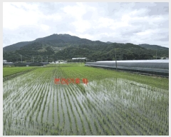  2025Ÿ��557  ����