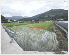  2025Ÿ��557  ����