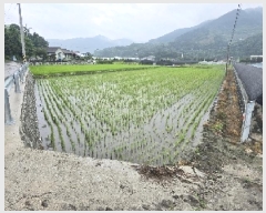  2025Ÿ��557  ����