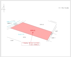  2025Ÿ��557  ����