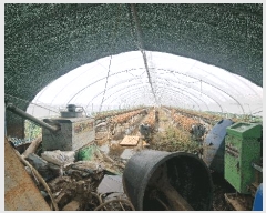  2025Ÿ��565 �泲 ��õ�� �뺴�� ��ܸ� 772-1      ����(��)���