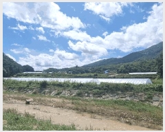  2025Ÿ��565 �泲 ��õ�� �뺴�� ��ܸ� 772-1      ����(��)���