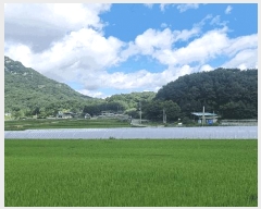  2025Ÿ��565 �泲 ��õ�� �뺴�� ��ܸ� 772-1      ����(��)���