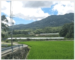  2025Ÿ��565 �泲 ��õ�� �뺴�� ��ܸ� 772-1      ����(��)���