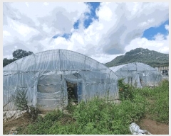  2025Ÿ��565 �泲 ��õ�� �뺴�� ��ܸ� 772-1      ����(��)���