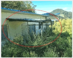  2025Ÿ��569  �ٸ����ð��