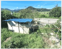  2025Ÿ��569  �ٸ����ð��