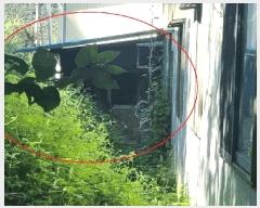  2025Ÿ��569  �ٸ����ð��