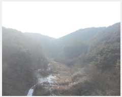  2025Ÿ10056 泲 â â  18-1      (Ӿ)