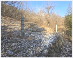  2025Ÿ10094 泲 â ֻ ⸮ 176      (Ӿ)