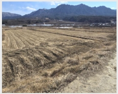  2025Ÿ10117 泲 â  Ϻθ 791      ()