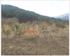  2025Ÿ��10165 �泲 ��â�� �ϻ�� ������ 535-11      ����(�Ӿ�)���