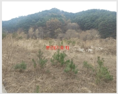  2025Ÿ��10165 �泲 ��â�� �ϻ�� ������ 535-11      ����(�Ӿ�)���