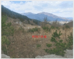  2025Ÿ��10165 �泲 ��â�� �ϻ�� ������ 535-11      ����(�Ӿ�)���