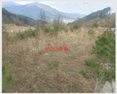  2025Ÿ��10165 �泲 ��â�� �ϻ�� ������ 535-11      ����(�Ӿ�)���