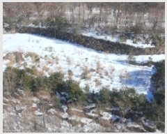  2025Ÿ��10165 �泲 ��â�� �ϻ�� ������ 535-11      ����(�Ӿ�)���