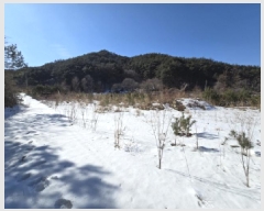  2025Ÿ��10165 �泲 ��â�� �ϻ�� ������ 535-11      ����(�Ӿ�)���