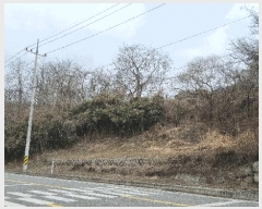  2025Ÿ10175 泲 â  е 1501-2      ()