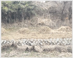  2025Ÿ10175 泲 â  е 1501-2      ()