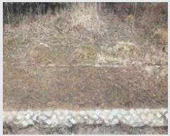  2025Ÿ10175 泲 â  е 1501-2      ()