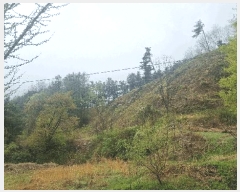  2025Ÿ10199 泲 â  ̸ 559      (1)