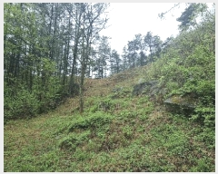  2025Ÿ10199 泲 â  ̸ 559      (1)