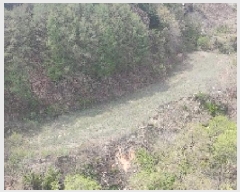  2025Ÿ10199 泲 â  ̸ 559      (1)