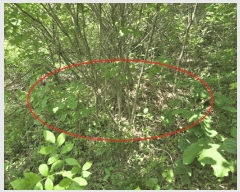  2025Ÿ��10205 �泲 �Ծ籺 ������ ���ָ� 508-1      ����(��1)���