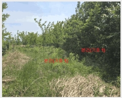  2025Ÿ��10205 �泲 �Ծ籺 ������ ���ָ� 508-1      ����(��1)���