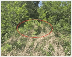  2025Ÿ��10205 �泲 �Ծ籺 ������ ���ָ� 508-1      ����(��1)���