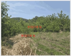  2025Ÿ��10205 �泲 �Ծ籺 ������ ���ָ� 508-1      ����(��1)���