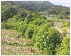  2025Ÿ��10205 �泲 �Ծ籺 ������ ���ָ� 508-1      ����(��1)���