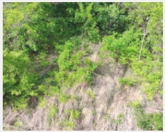  2025Ÿ��10205 �泲 �Ծ籺 ������ ���ָ� 508-1      ����(��1)���