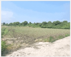  2025Ÿ10215 泲 â â  488      ()