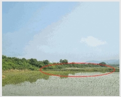  2025Ÿ10215 泲 â â  488      ()