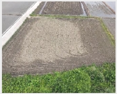  2025Ÿ10215 泲 â â  488      ()