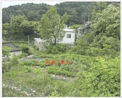  2025Ÿ��10217 �泲 ��õ�� ���߸� ġ�θ� 513      ����(����)���